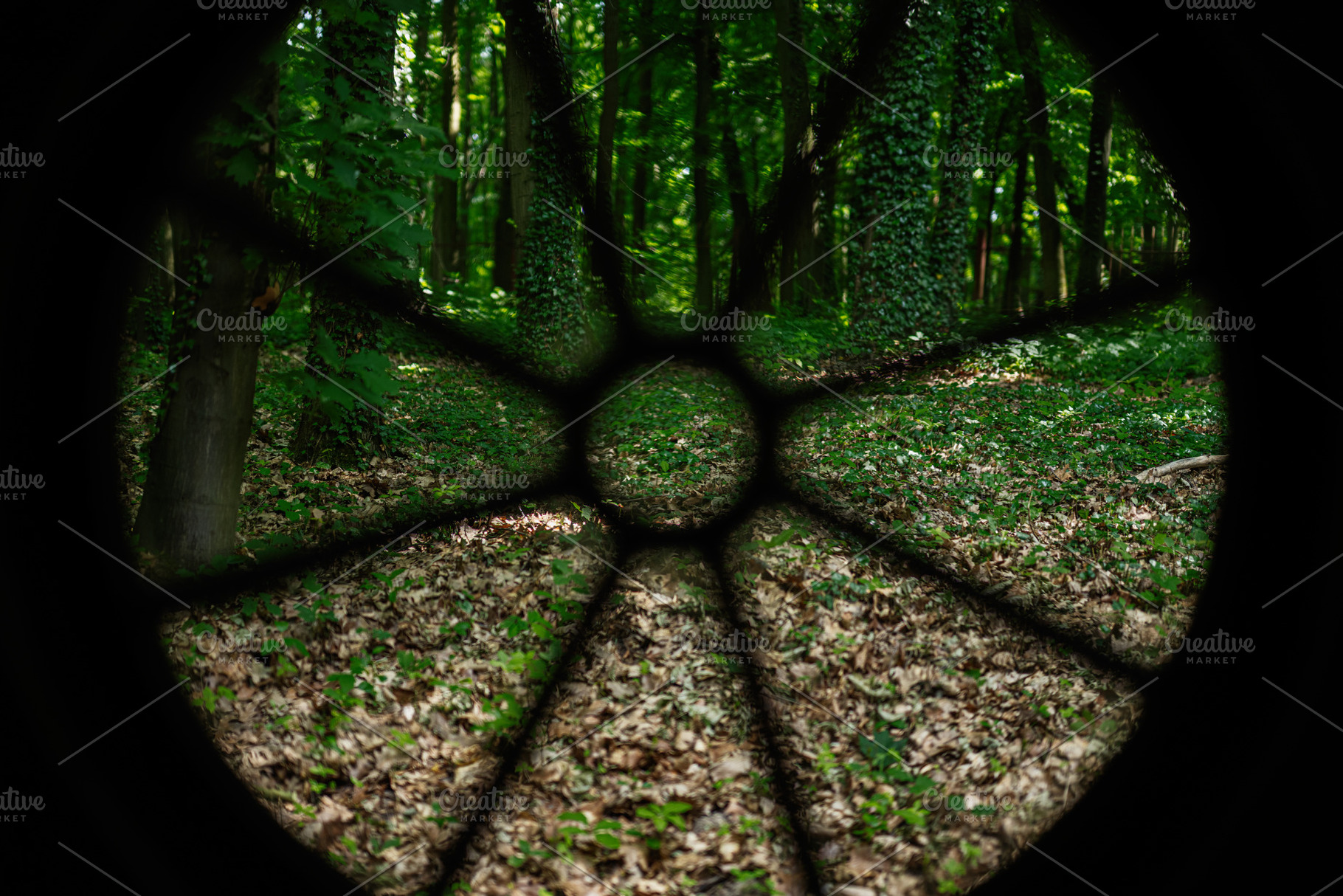 Forest scene viewed through circular patterned architectural window frame, a Photo by AS photostudio