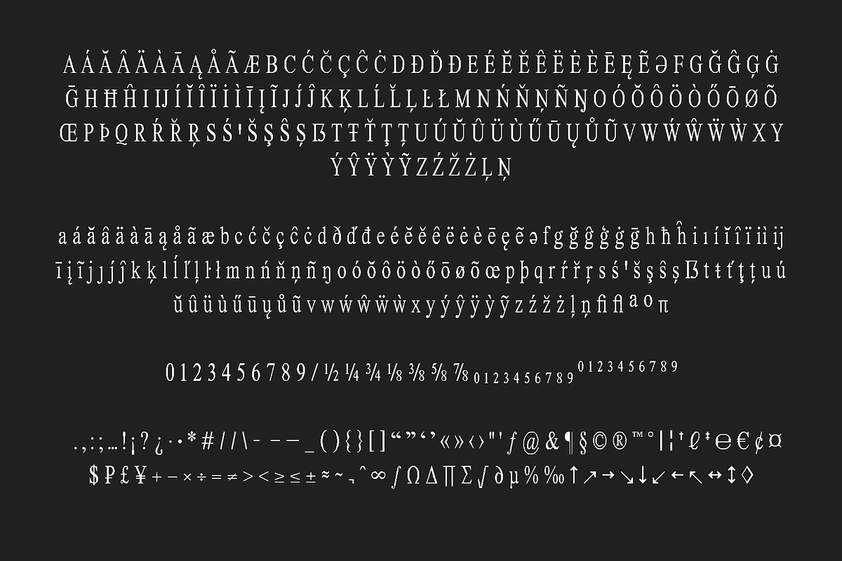 Retro Variable Pixel Font., a Serif Font by That That Creative (Photo 17 of 18)