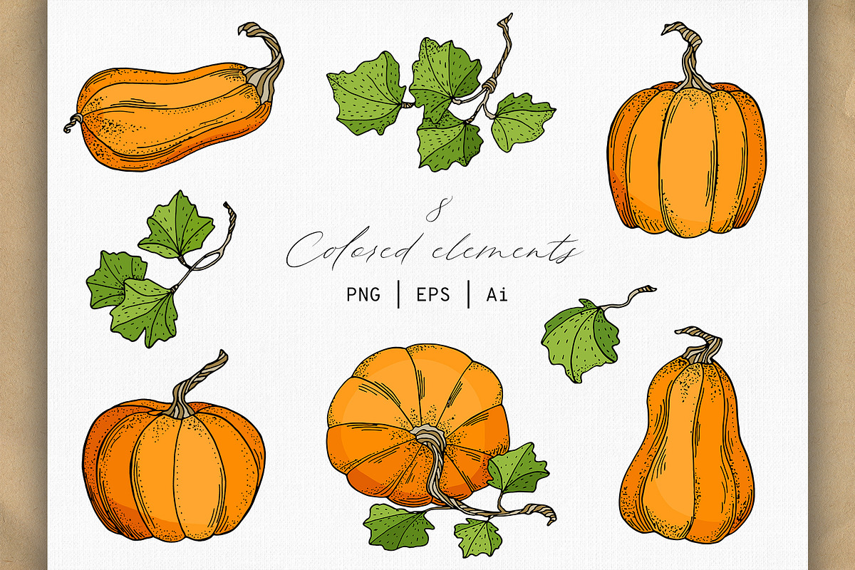 Autumn Pumpkins Hand Drawn Graphics, a Food Illustration by Olya Haifisch (Photo 4 of 9)