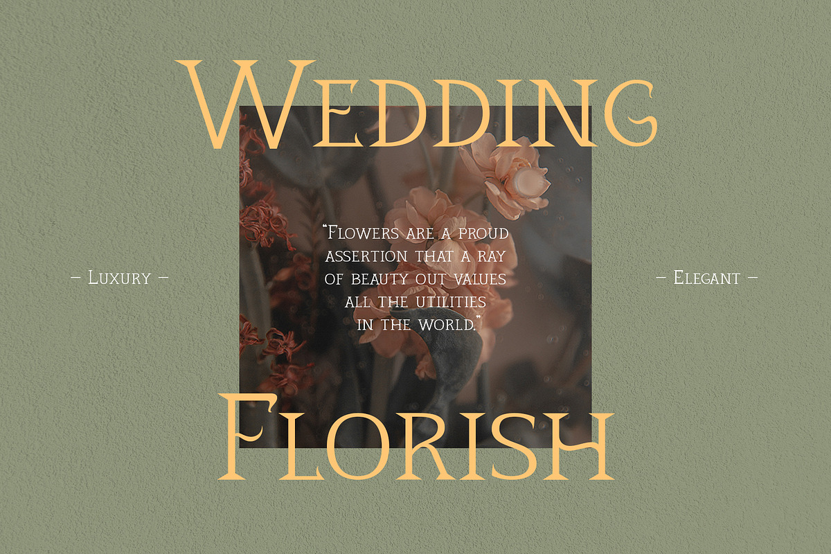 Quiana Serif, a Serif Font by Alphaleonis_std (Photo 3 of 9)