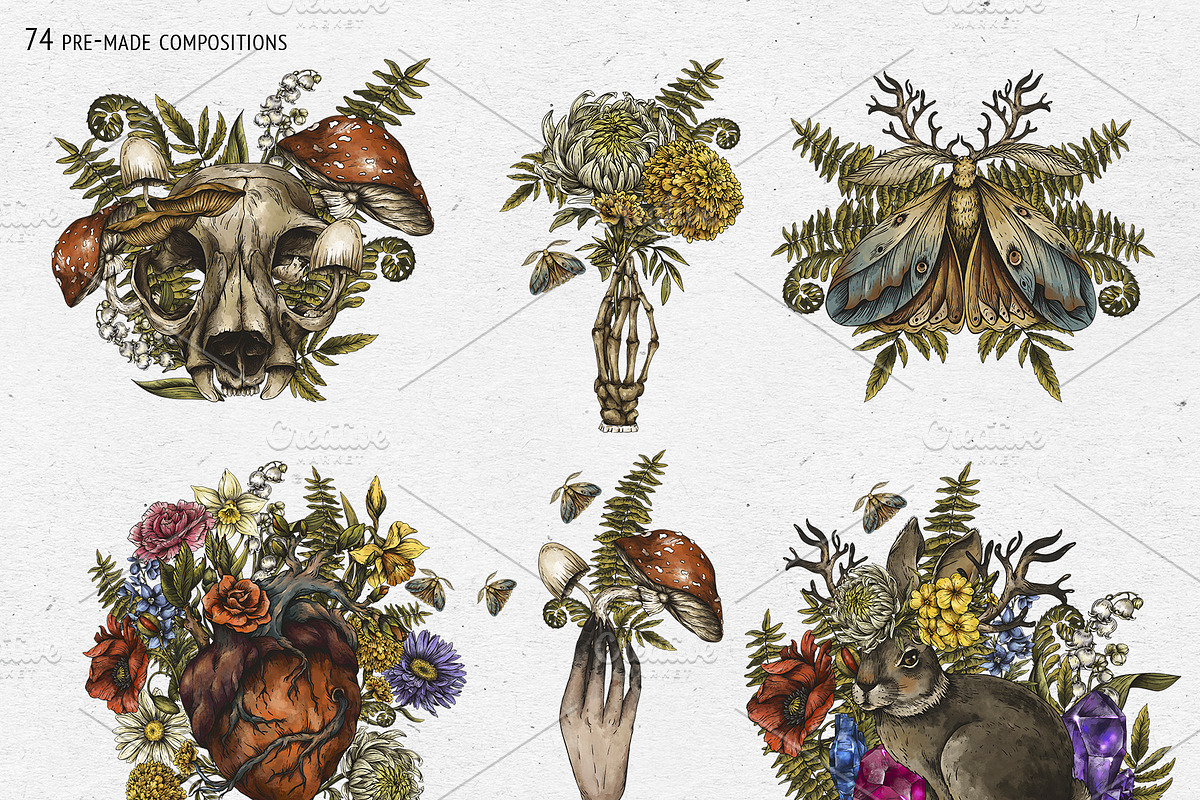 Birth Flowers & Birthstone Clipart, an Illustration by Belusuab (Photo 11 of 16)