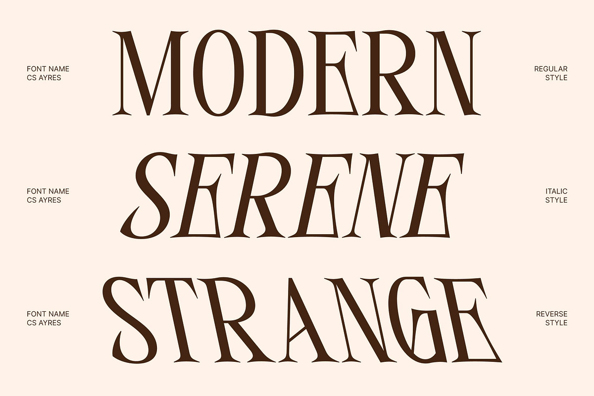 CS Ayres – Contemporary Serif Font, a Serif Font by Craft Supply Co. (Photo 2 of 8)