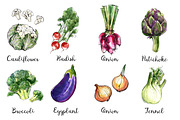 Food watercolor. Vegetables, a Food Illustration by irina.vaneeva (Thumbnail 22 of 25)