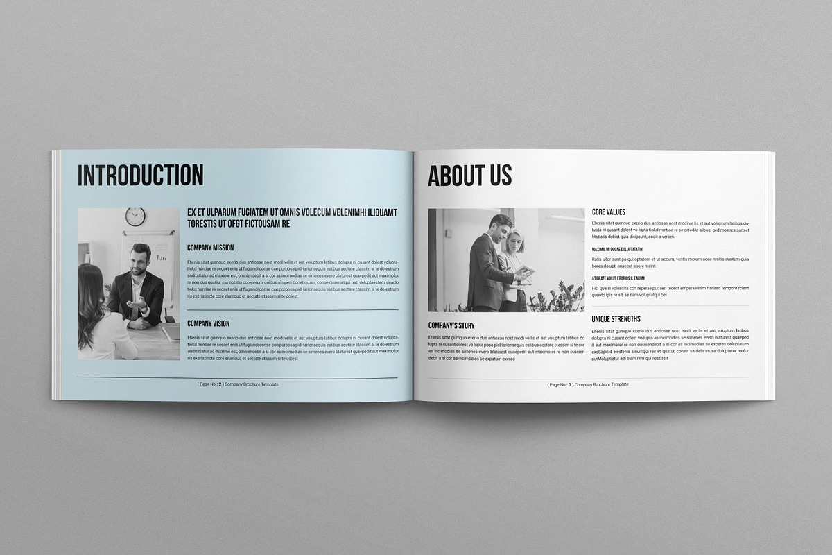 Company Brochure Template Landscape, a Brochure Template by E-Type (Photo 2 of 7)