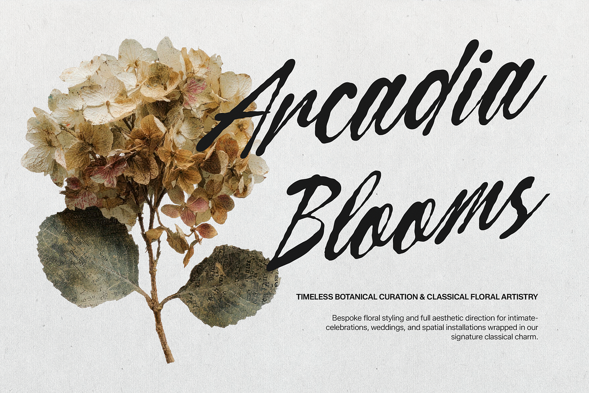 Curiousity Reuis Handwritten Script, a Script Font by gracetype_studio (Photo 2 of 11)