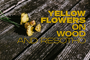 fonts family Resotho, a Sans Serif Font by glukfonts (Thumbnail 3 of 9)