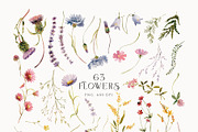 Fragrant Meadow - watercolor flowers, a Decorative Illustration by Pamyatka Shop (Thumbnail 12 of 13)