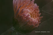 200+ Paper Textures Bundle, a Texture Graphic by Studio 2am (Thumbnail 6 of 12)
