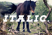 BOAR TUSK Font Family, a Slab Serif Font by Zone 6 (Thumbnail 6 of 8)