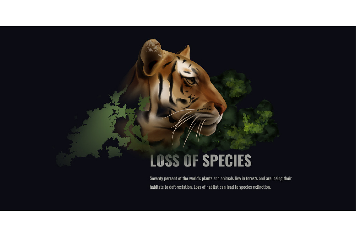 Vector Realistic Deforestation Set, an Animal Illustration by Zonda (Photo 12 of 12)