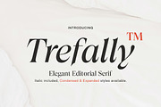 Trefally - Elegant Editorial Serif, a Serif Font by Attract Studio (Thumbnail 1 of 22)