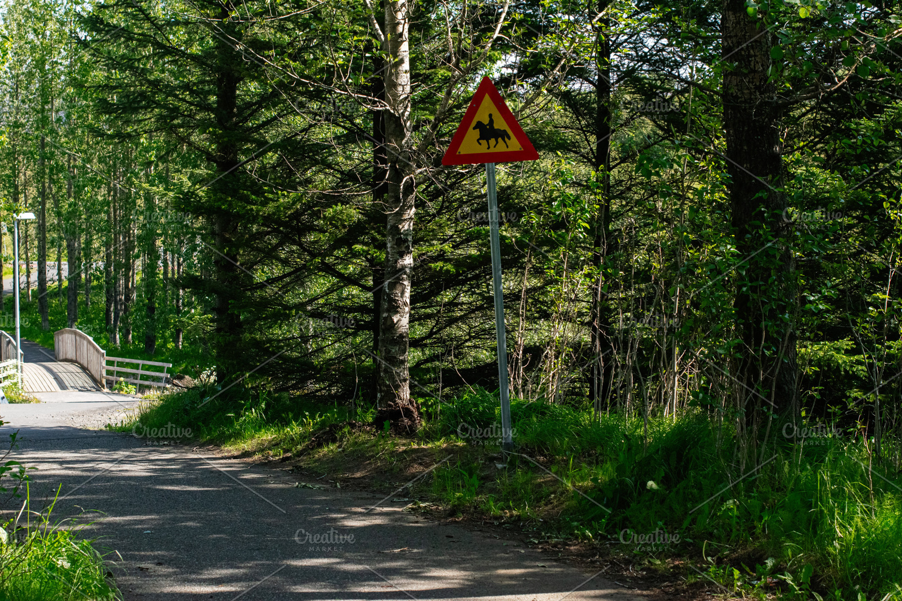 Scenic path in Mosfellsbær Iceland with caution sign in a lush forest, a Photo by AS photostudio