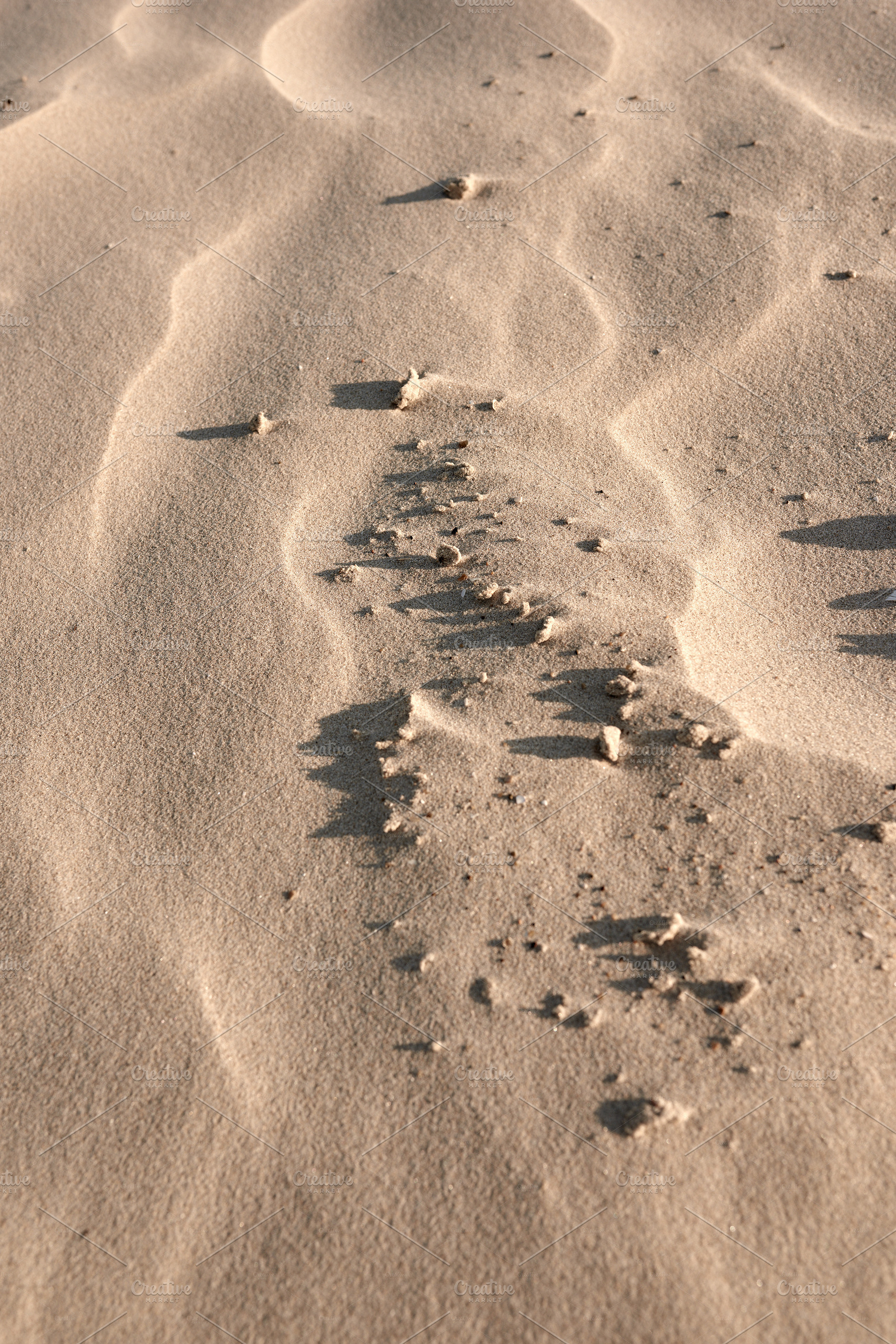Beach sand, a Photo by Peopleimages.com
