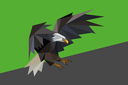 Wild animals in low poly style, an Animal Illustration by Volkan Aydemir (Thumbnail 9 of 12)