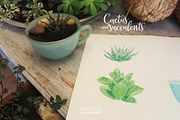 watercolor  CXactus and succulents, a Decorative Illustration by Autumn Breeze (Thumbnail 3 of 3)
