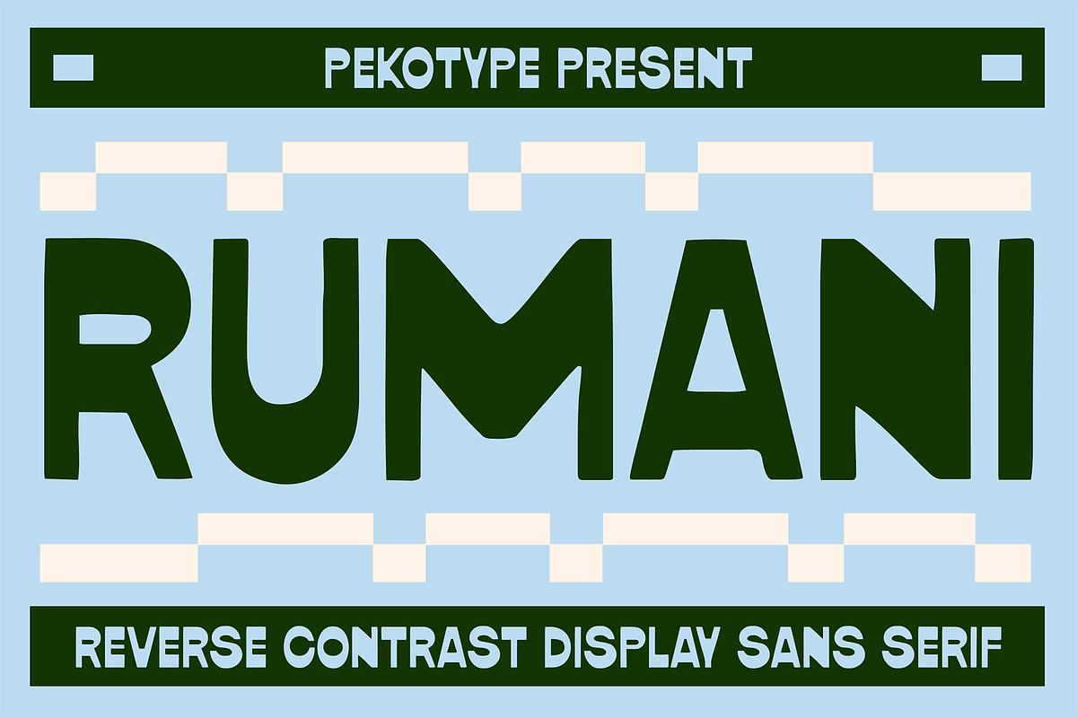Rumani - Reverse Contrast Font, a Sans Serif Font by Pekotype (Photo 1 of 15)