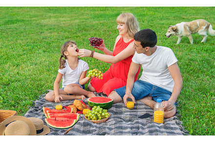 Pregnant woman on a picnic, a Person Photo by yanadjana