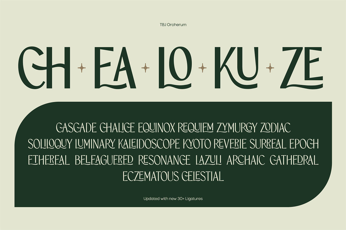 TBJ Orcherum Unique Ligatures Sans, a Font by Taboja Studio (Photo 10 of 21)