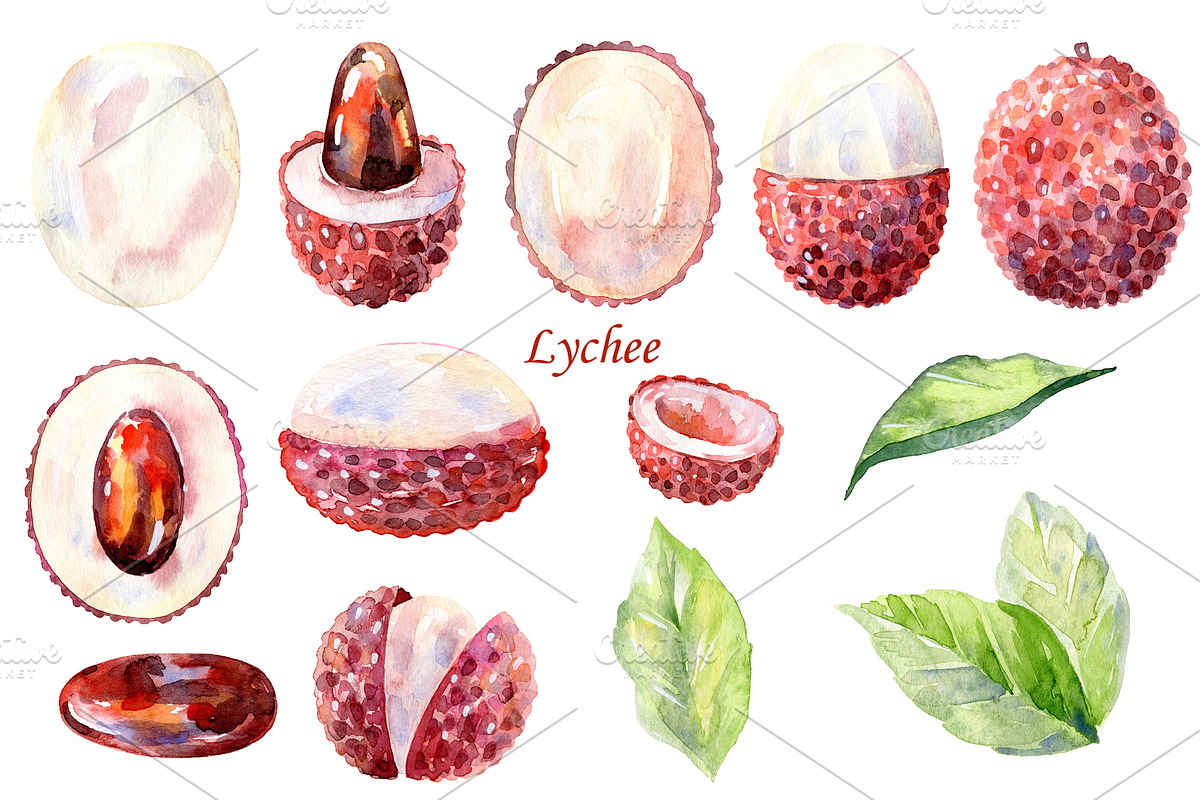 Watercolor tropical fruits., an Illustration by TaPilipa (Photo 5 of 39)