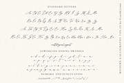 Agonia Lyubvi // Modern Calligraphy, a Handwritten Font by PeachCreme (Thumbnail 14 of 15)
