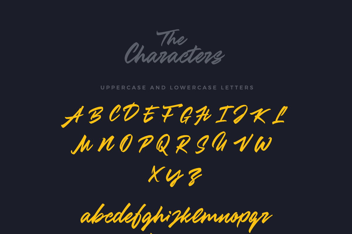 Zenith Script preview 8