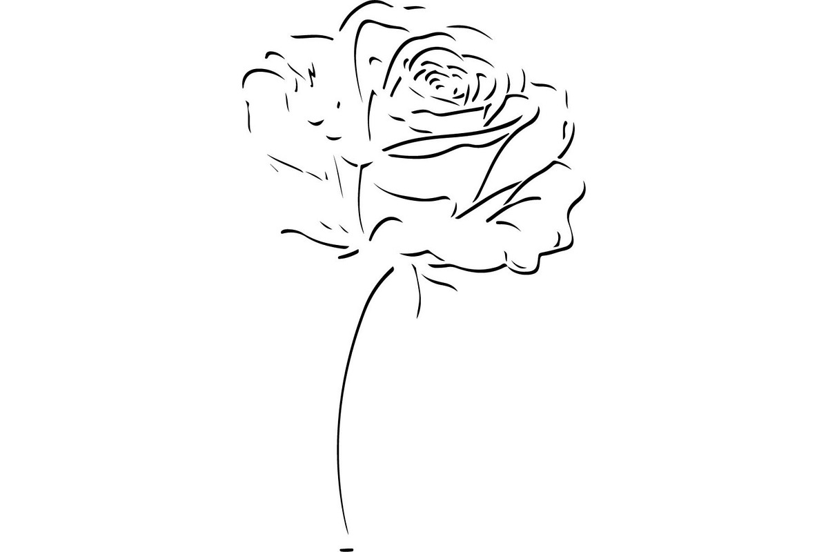Decorative Floral Mandala Rose Butte, an Object Illustration by Designer_Momina (Photo 18 of 21)