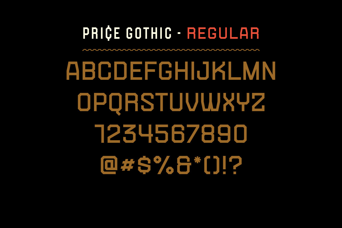 Price Gothic Font Family, a Sans Serif Font by Price Foundry (Photo 6 of 10)