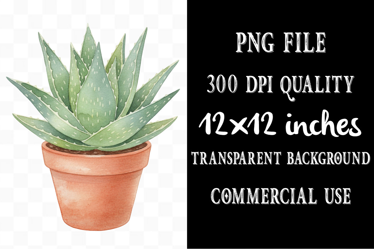 Watercolor Succulent Cactus Clipart, an Illustration by Designking (Photo 4 of 5)