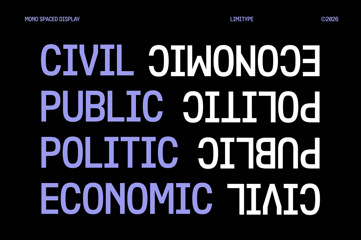 Contair - Monospaced Font, a Sans Serif Font by limitype (Photo 7 of 12)