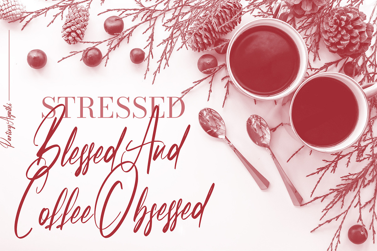 Partiny Agathi - Handwritten Font, a Script Font by StringLabs (Photo 7 of 10)