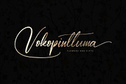 Karrttela Black Friday, a Script Font by MissinkLab Studio (Thumbnail 5 of 6)