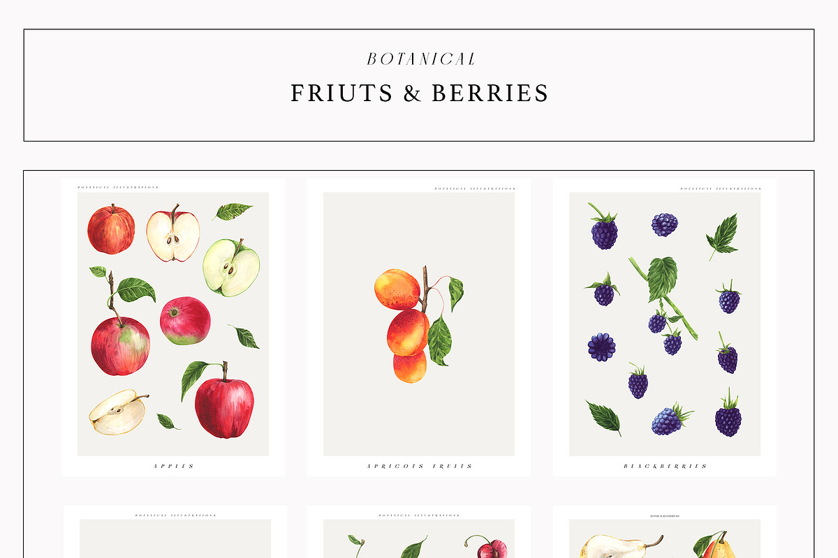 Fruits & Berries Botanical, a Food Illustration by LiChu Art (Photo 3 of 14)