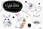 Amy in Wonderforest - hand drawn set, a Decorative Illustration by Satika (Thumbnail 2 of 15)