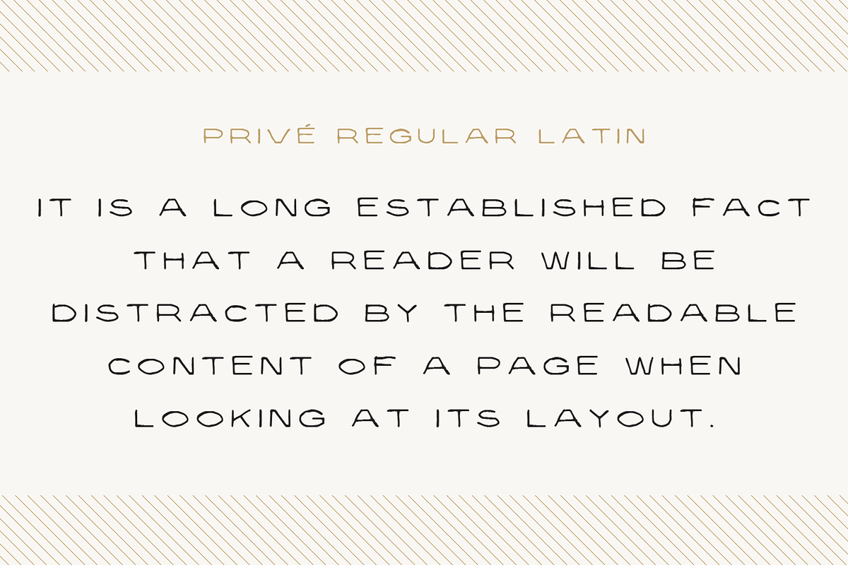 Privé, a Handwritten Font by TEKNIKE (Photo 3 of 6)
