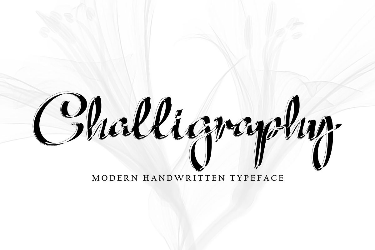 Alega, a Script Font by pineungtype (Photo 4 of 10)