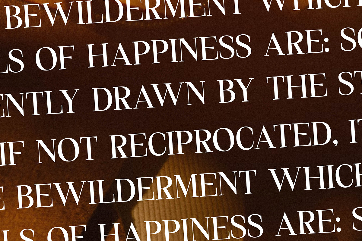 Miraden Florale Modern Serif Font, a Serif Font by Storytype Studio (Photo 7 of 15)