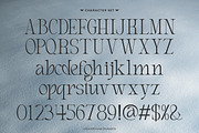 Elviante - Condensed Serif Font, a Serif Font by Flawless And Co (Thumbnail 8 of 10)