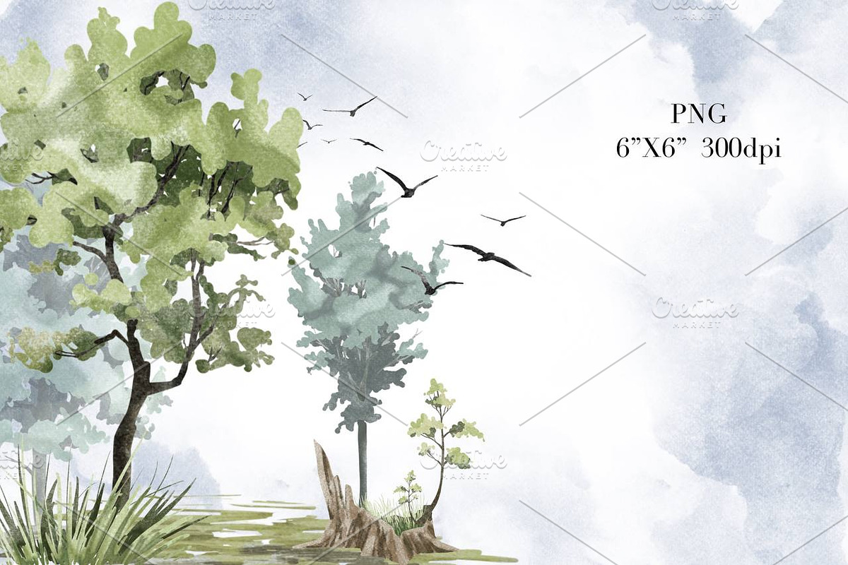 Trees Watercolor clipart. Forest, a Decorative Illustration by NKTKNS (Photo 8 of 8)