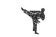Dynamic martial arts kick silhouette, a Graphic by Amazin_art (Thumbnail 19 of 36)