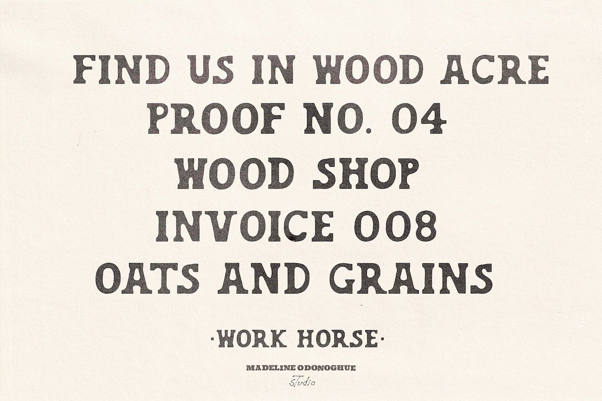 Work Horse – Vintage Wood Serif Font, a Slab Serif Font by Madeline ODonoghue Design (Photo 2 of 5)