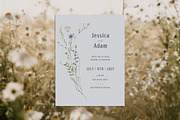 Summer Watercolor Wildflowers, a Decorative Illustration by Les Frolova (Thumbnail 2 of 11)