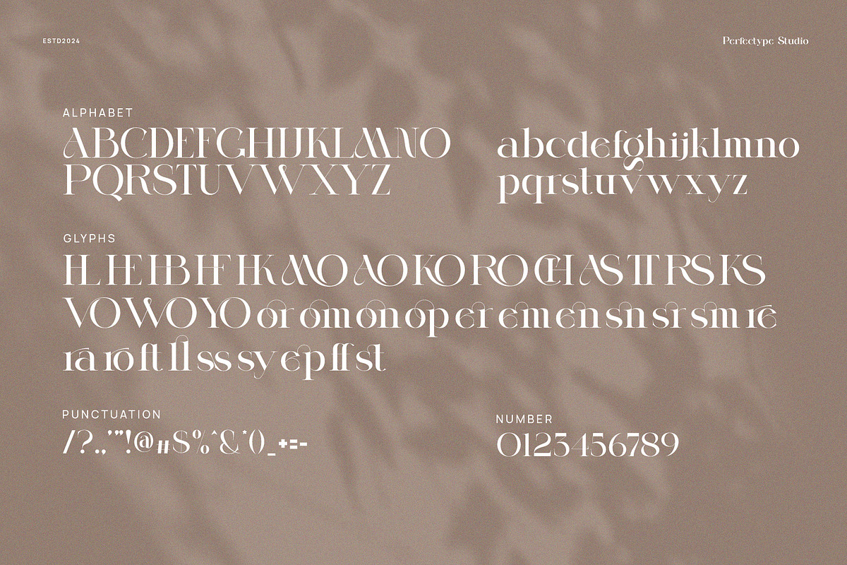 Norger Elegant Serif Font, a Sans Serif Font by Perfectype (Photo 8 of 8)