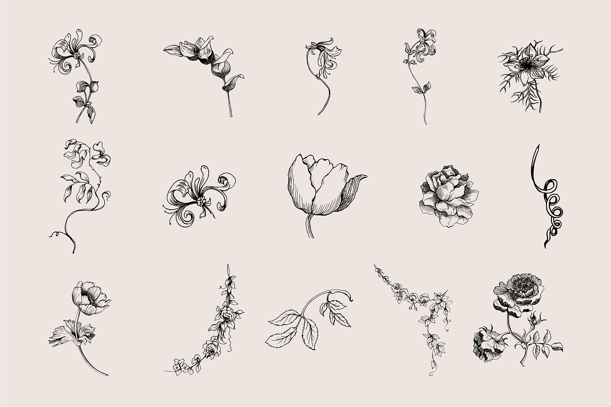 Vintage Frames SVG Clipart PNG, a Decorative Illustration by Anada Arty (Photo 13 of 18)