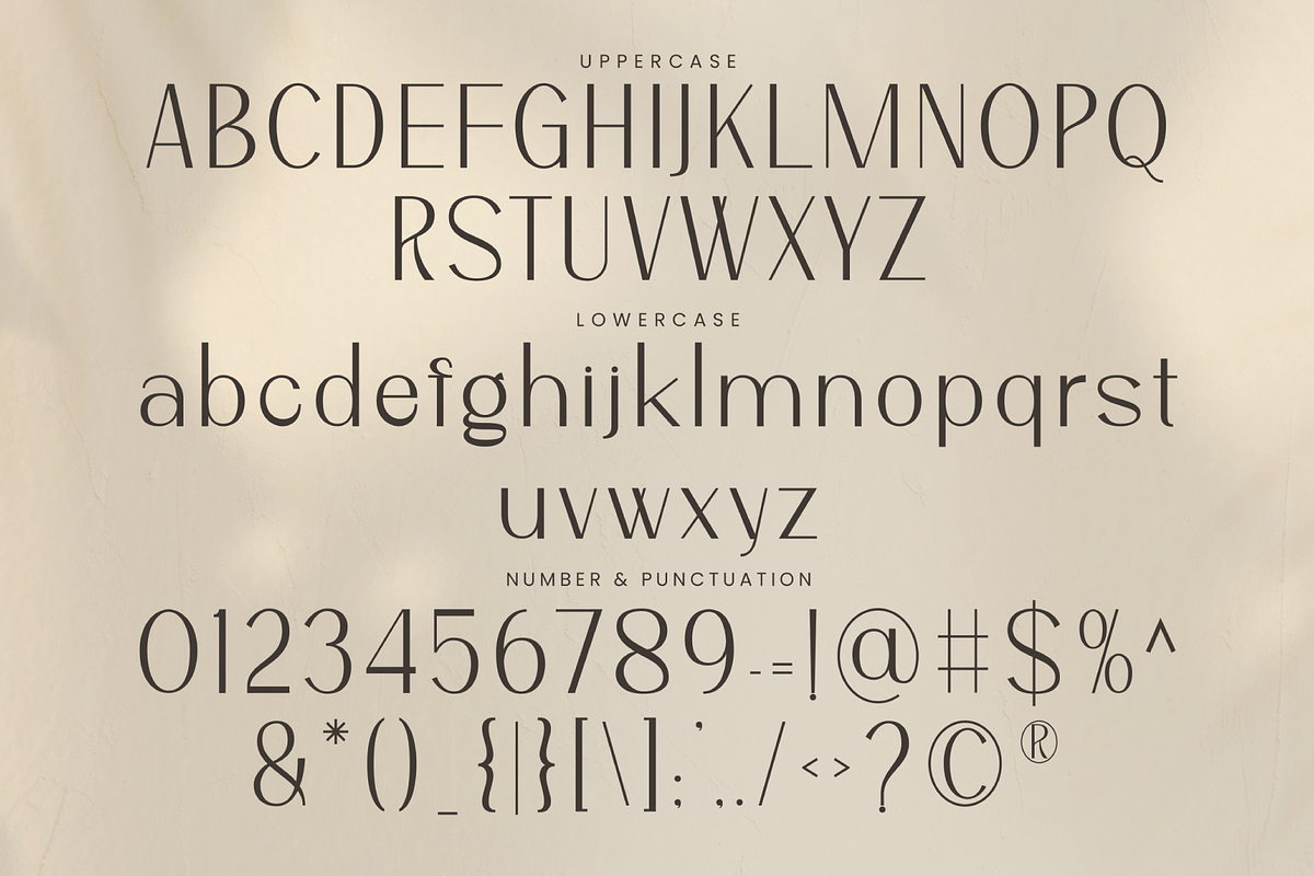 Mofance Clean and Elegant Font, a Sans Serif Font by Salamahtype (Photo 6 of 7)