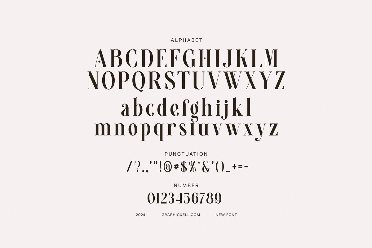 Seagle Elegant Serif Font, a Serif Font by Graphicxell (Photo 8 of 8)