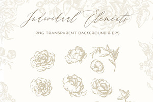 Vintage Peony - Flowers Line Art