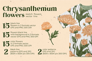 Flowers. Chrysanthemums