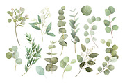 Watercolor Eucalyptus Clipart, an Object Graphic by ArtGiftsStudio (Thumbnail 2 of 6)
