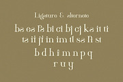 Hitocie Ligature Serif Typeface, a Serif Font by Humaira_std (Thumbnail 11 of 12)