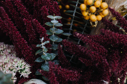 Flower bouquet photo stock photo containing flowers and floral, a Nature Photo by Amaranth Creative Co.